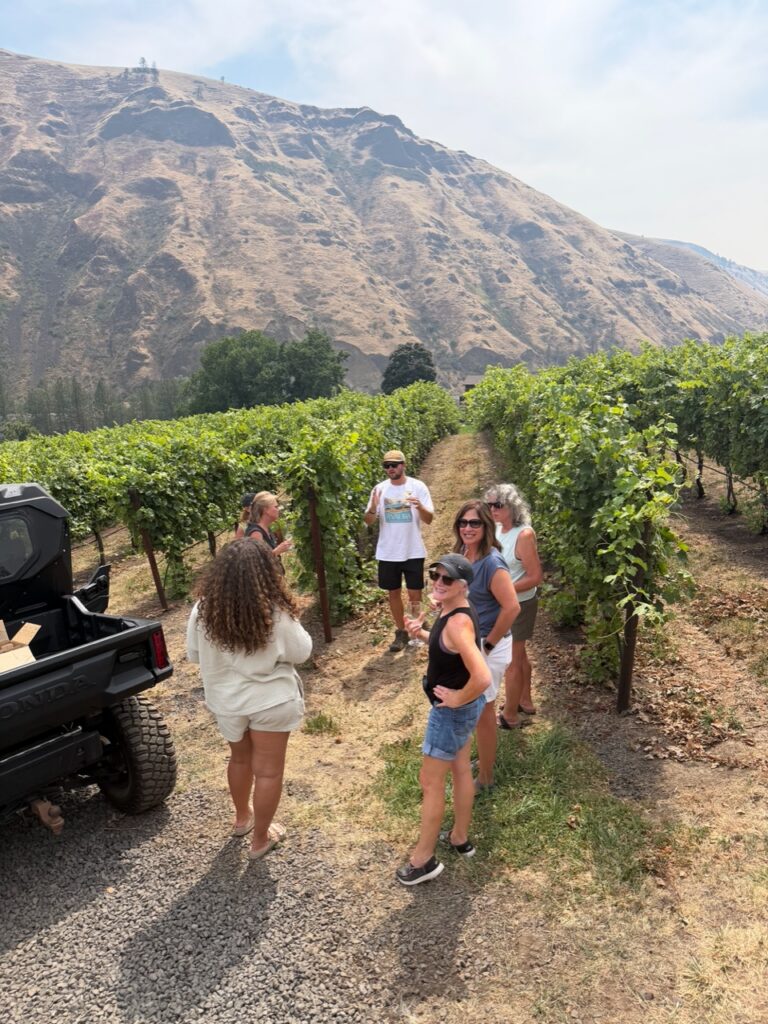 Group of people in a vineyard, chatting among grape vines with a black pickup truck on the left and rocky hills in the background.
